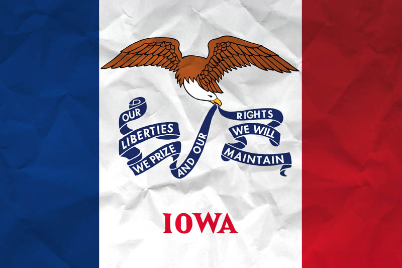 Flag Iowa L Size on Paper