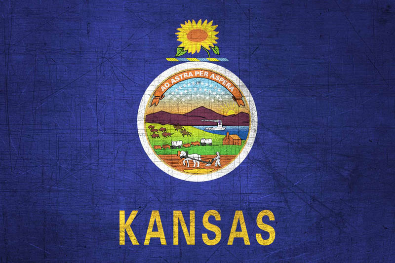 Flag Kansas L Size with metal background