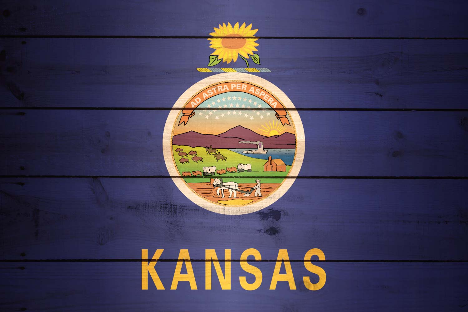 High Resolution Flag of Kansas Wood Texture