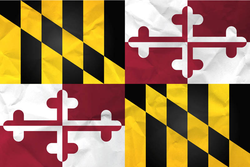 Flag Maryland L Size on Paper