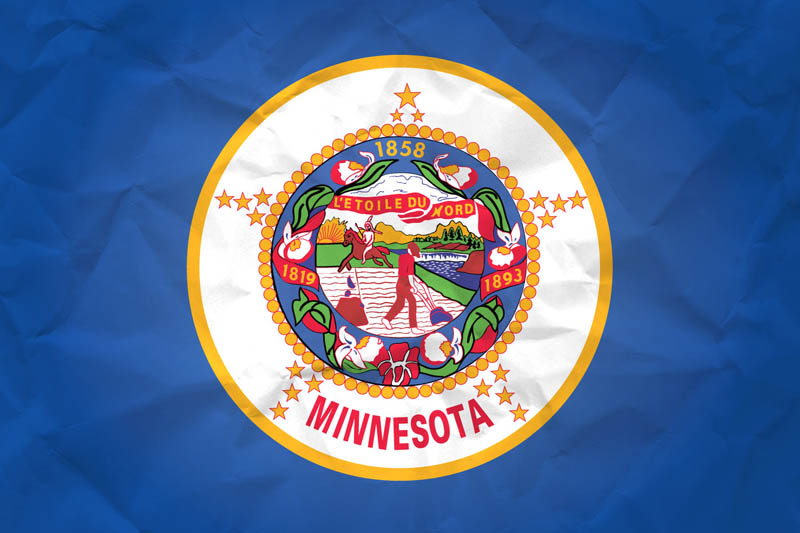 Flag Minnesota L Size on Paper