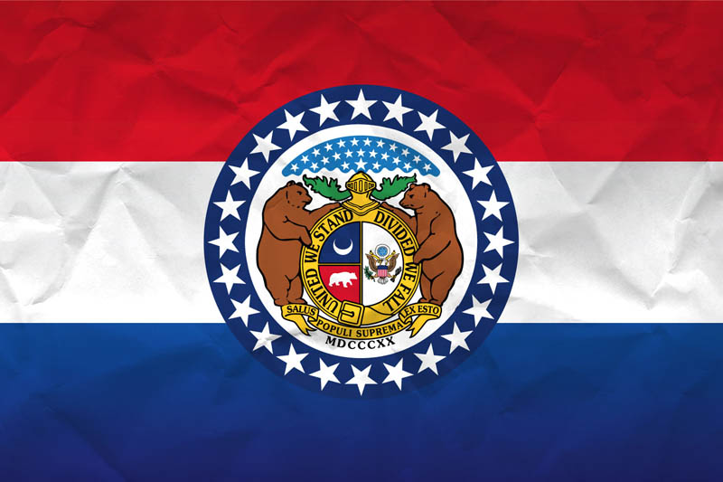 Flag Missouri L Size on Paper
