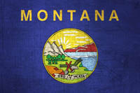 Montana Flag Metal Texture
