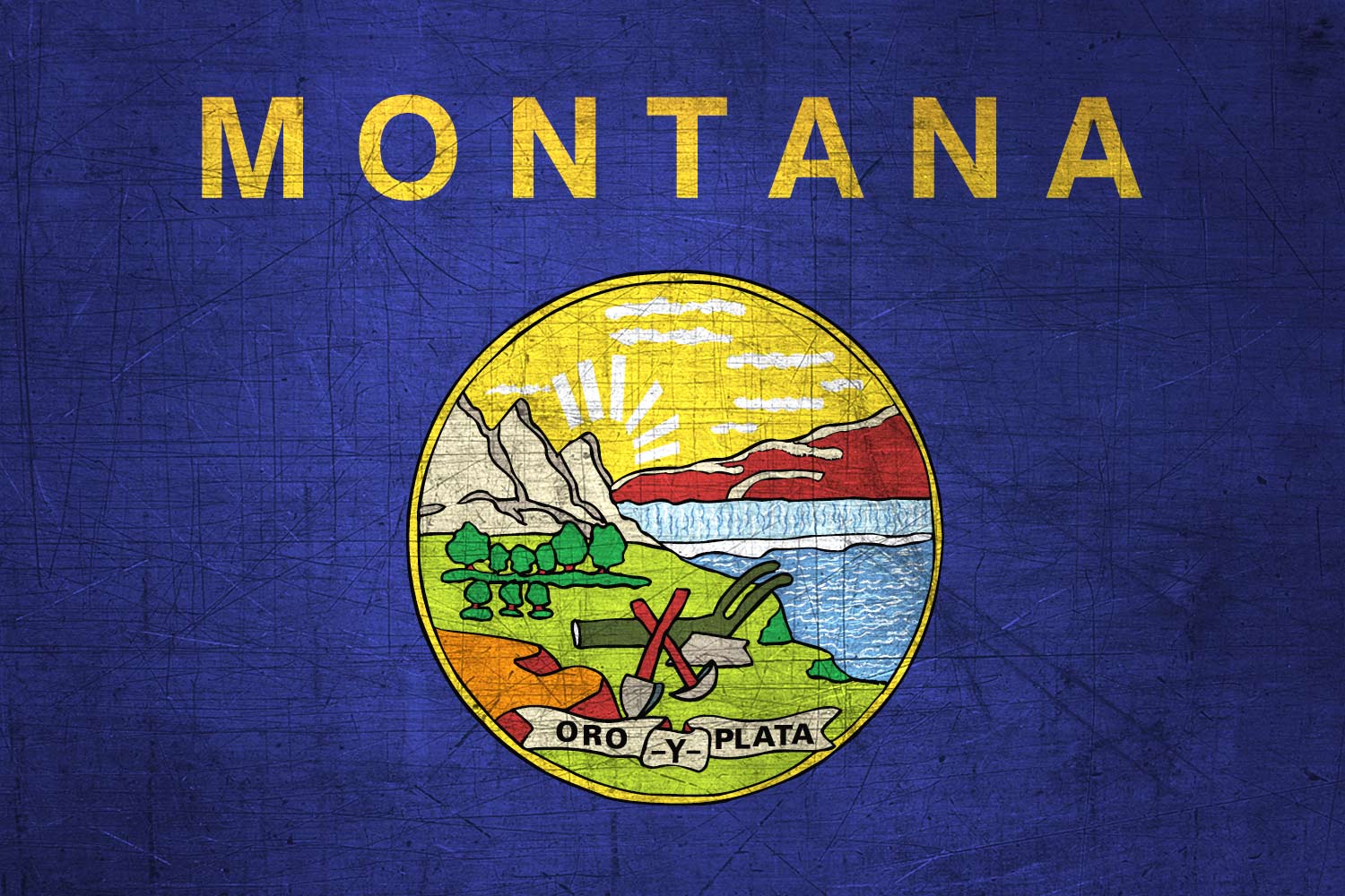 High Resolution Flag of Montana Metal Texture