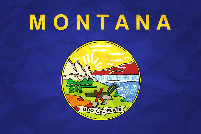 Flag Montana L Size on Paper