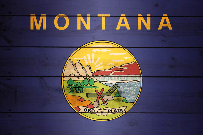 Flag Montana L Size on Wood