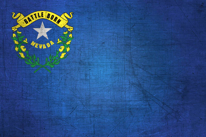 Flag Nevada L Size with metal background