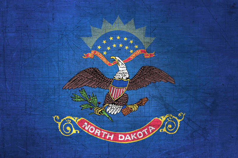 Flag North Dakota L Size with metal background