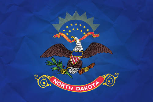 Flag North Dakota Paper - Size Medium