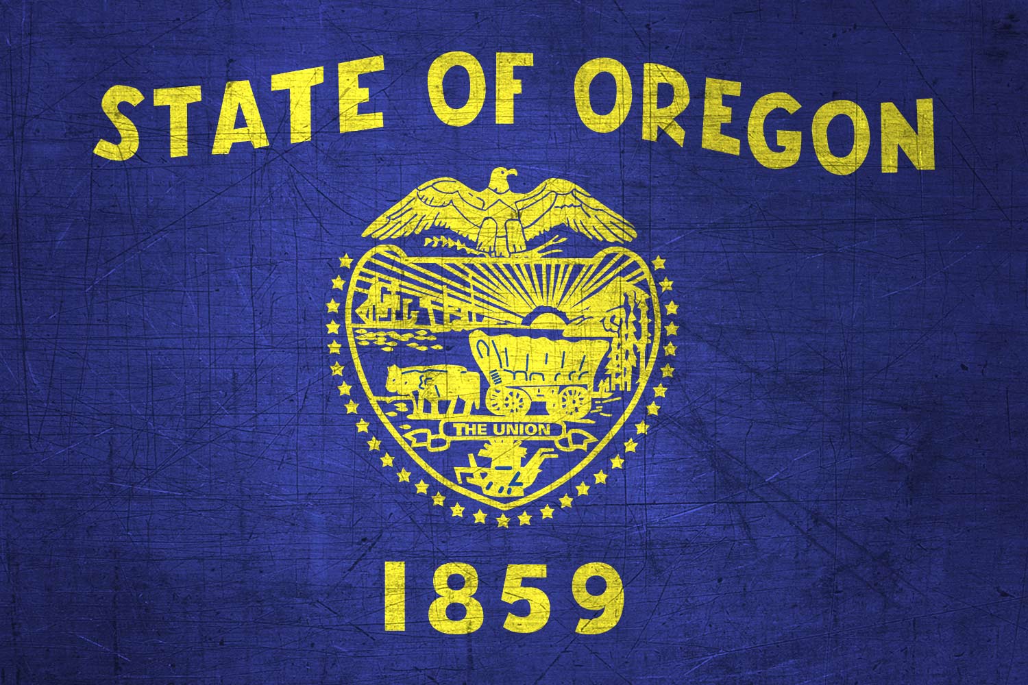 High Resolution Flag of Oregon Metal Texture