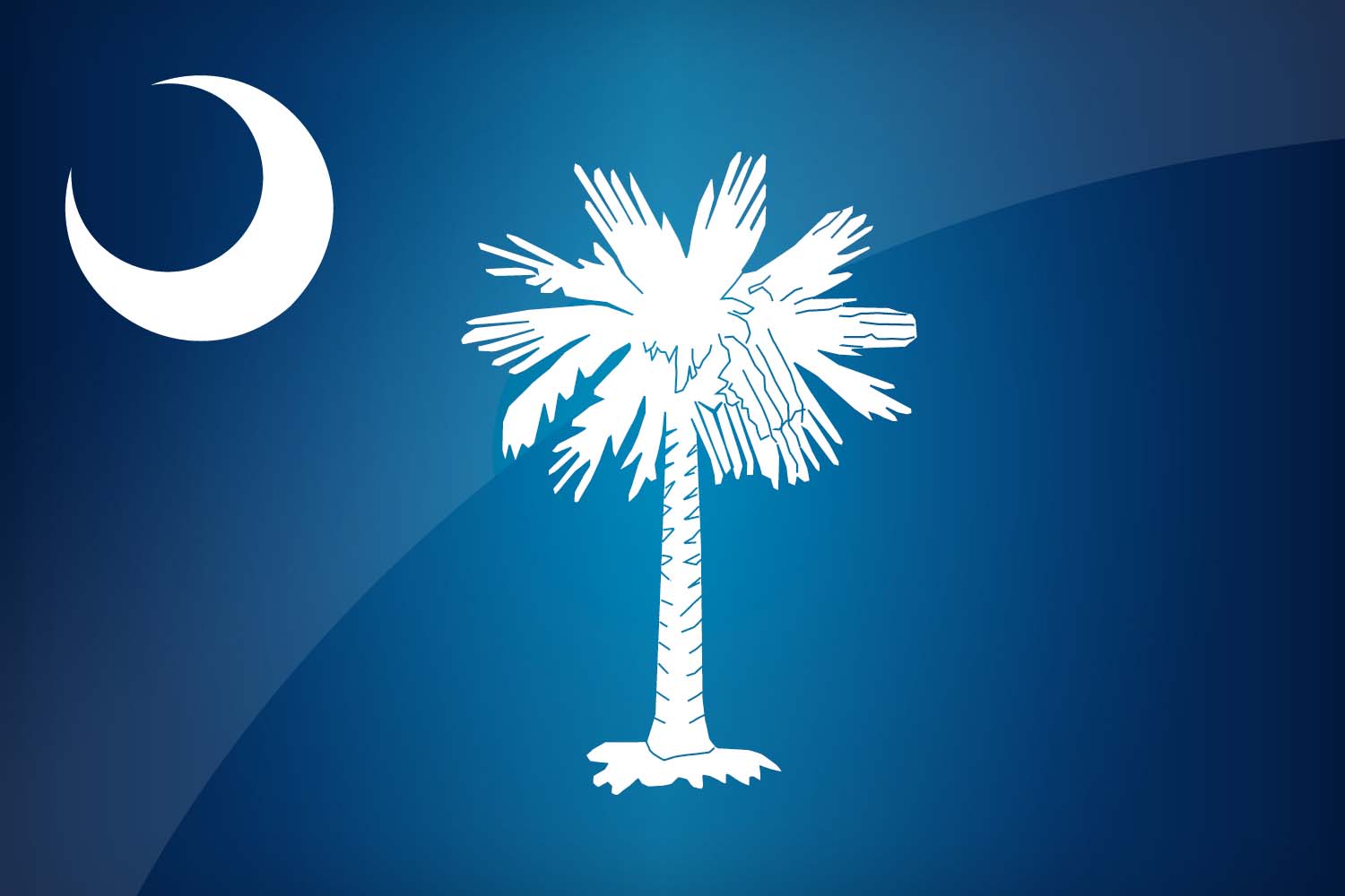 Flag of South Carolina in High Resolution