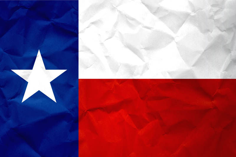Flag Texas L Size on Paper
