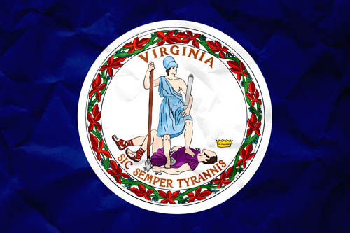 Flag Virginia Paper - Size Medium