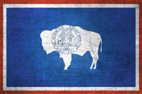 Wyoming Flag Metal Texture